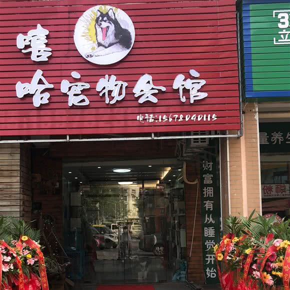 嘻哈宠物会馆:柳州市柳南区