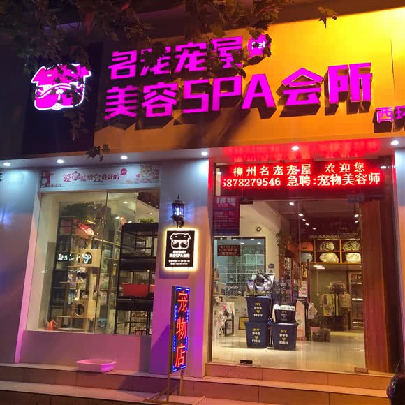 名宠宠屋:柳州市柳南区