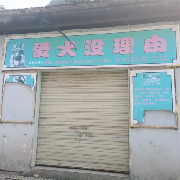 爱犬没理由(西环分店):柳州市柳南区