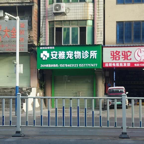 安雅宠物诊所:柳州市柳江区
