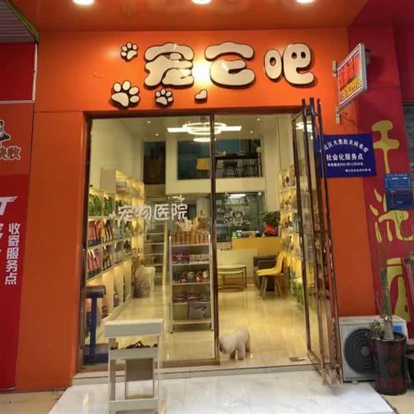 柳州市宠它吧宠物(拉堡店):柳州市柳江区