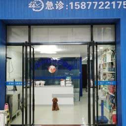 阿猫阿狗狗狗诊所:柳州市柳江区