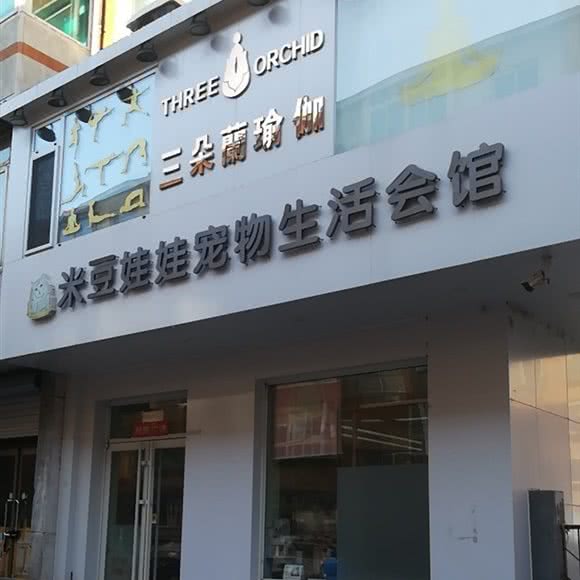 米豆娃娃宠物生活会馆:沈阳市沈河区小河沿附近