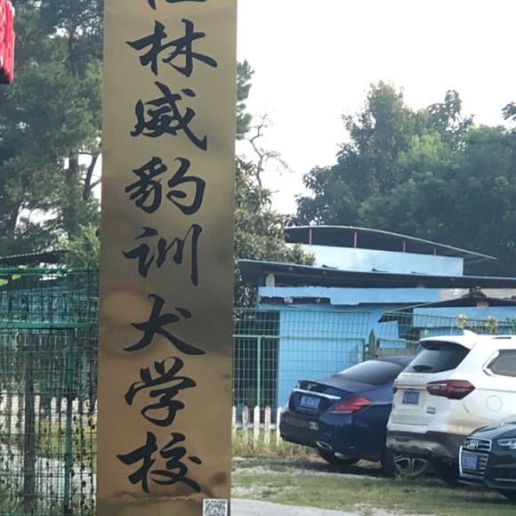 桂林威豹宠物诊所:桂林市七星区