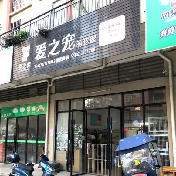 爱之宠萌宠屋:桂林市全州县