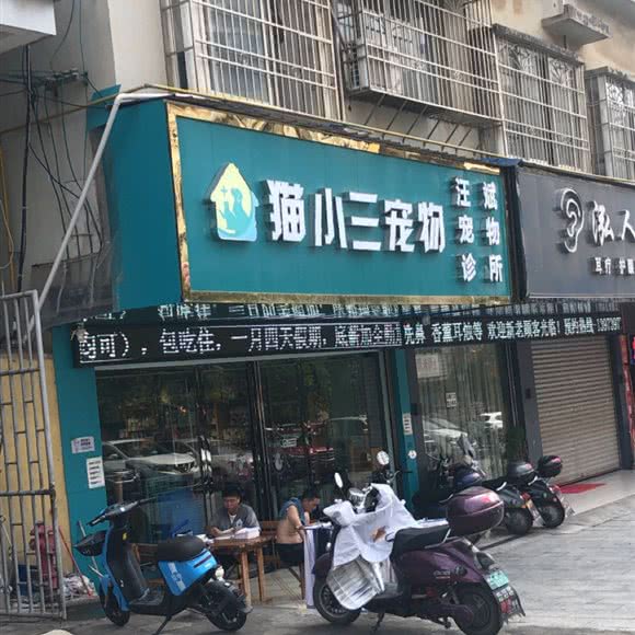 猫小:桂林市全州县