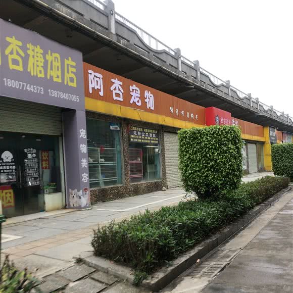 阿杏宠物:梧州市万秀区