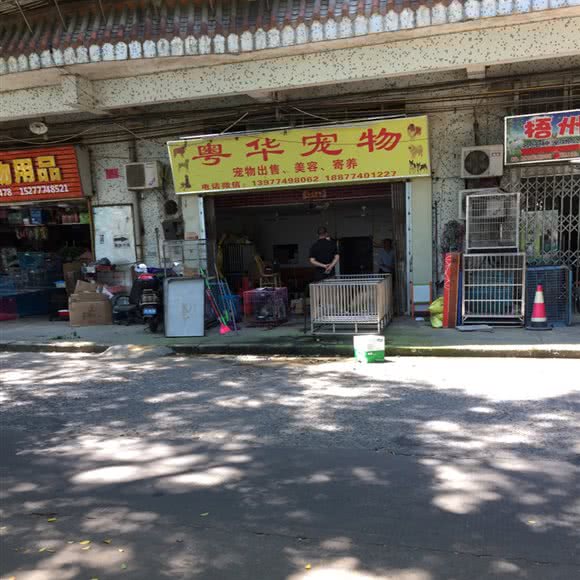 粤华宠物:梧州市万秀区