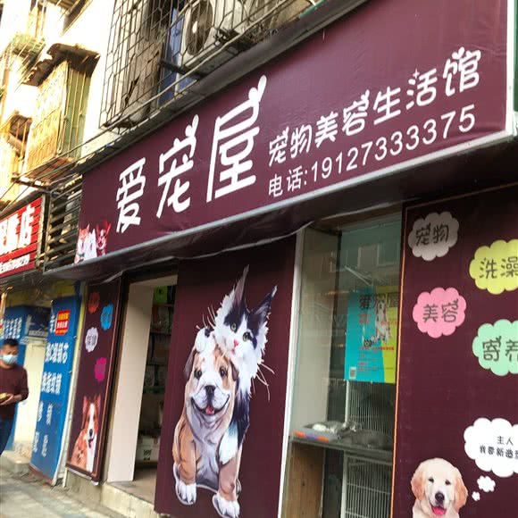 爱宠屋:梧州市万秀区