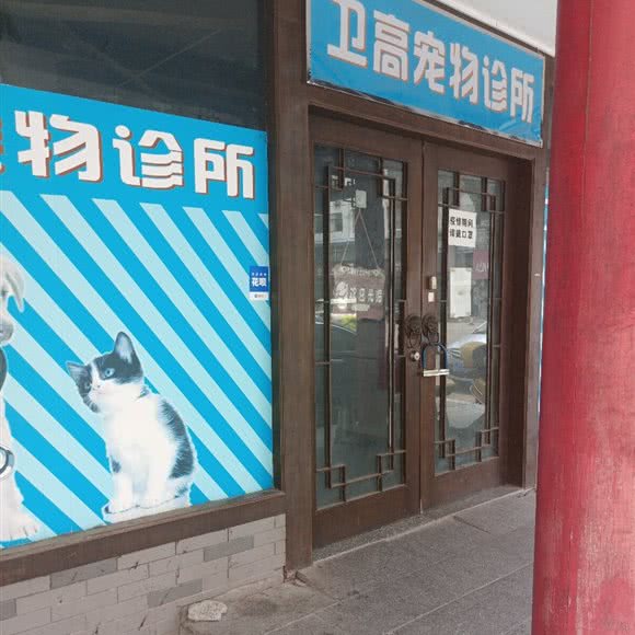 卫高宠物诊所:梧州市万秀区