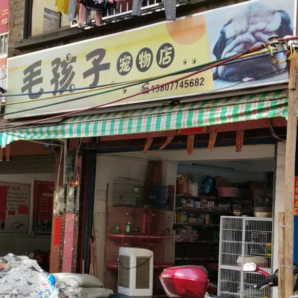 毛孩子宠物店:梧州市藤县