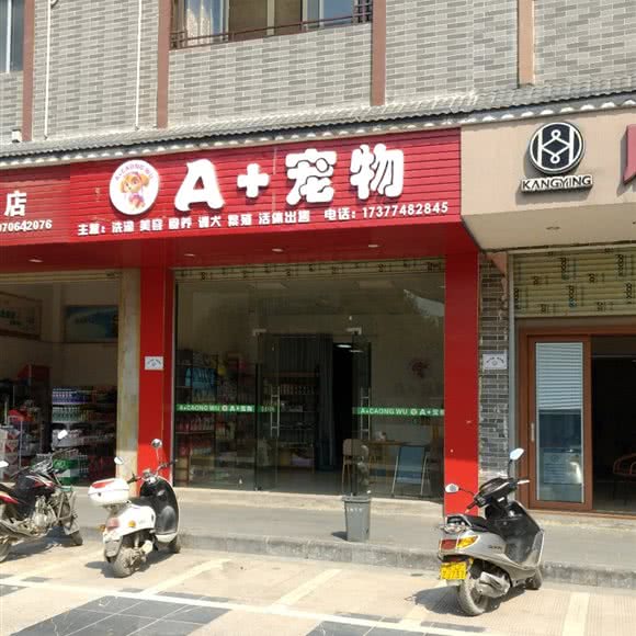 A+宠物:梧州市蒙山县