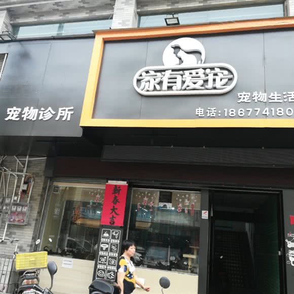 家有爱宠:梧州市岑溪市