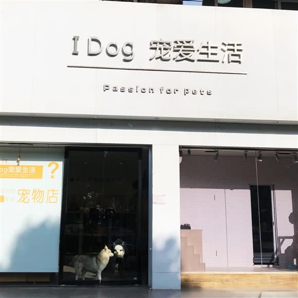 s Dog宠爱生活:北海市海城区