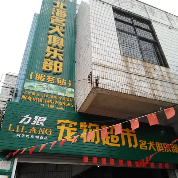 名犬俱乐部:北海市海城区