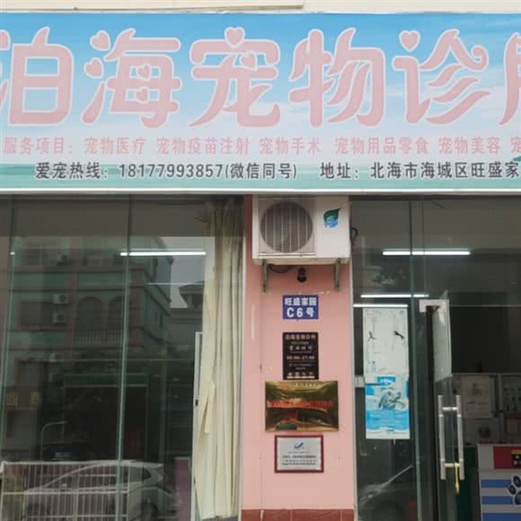 泊海宠物狗诊所:北海市海城区