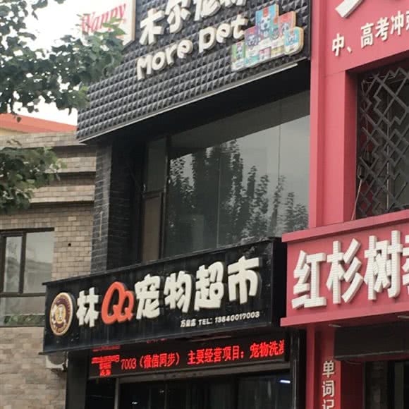 木尔宠物:沈阳市沈河区万泉公园附近