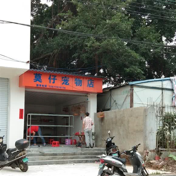 莫仔宠物店:北海市银海区