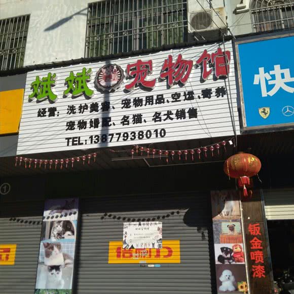 斌斌宠物馆:北海市合浦县