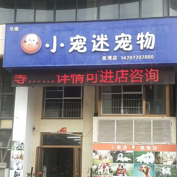 小宠迷宠物狗:防城港市港口区