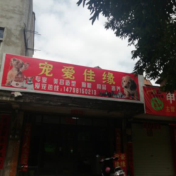 宠爱佳缘:钦州市灵山县