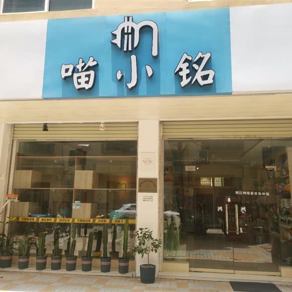 喵小铭:钦州市浦北县