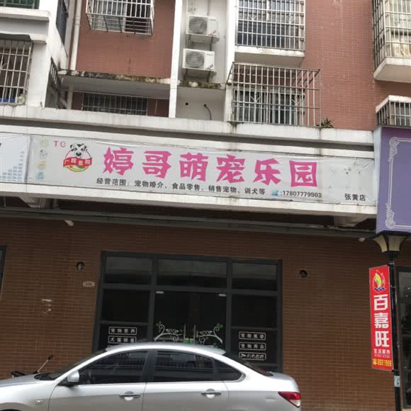 婷哥萌宠乐园:钦州市浦北县
