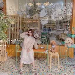 狗不理猫:贵港市港北区