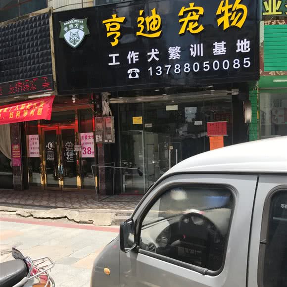 亨迪宠物(城湖路店):贵港市平南县