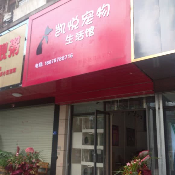 凯悦宠物生活馆:贵港市桂平市