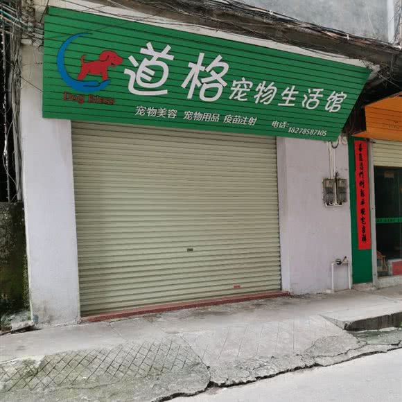 道格宠物生活馆:贵港市桂平市