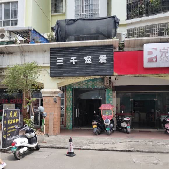 五千宠爱:贵港市桂平市