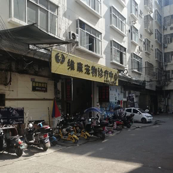 维康宠物诊疗中心:贵港市桂平市