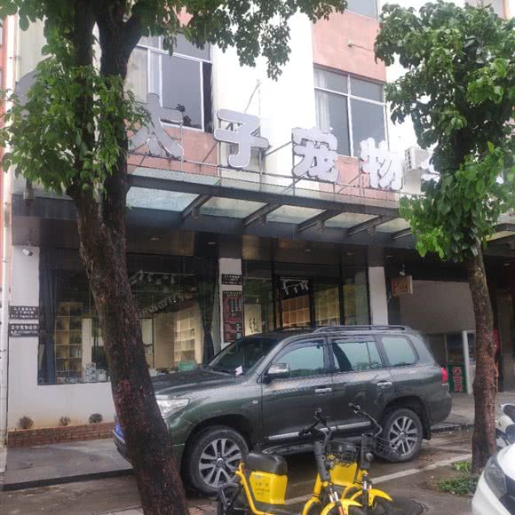晋王宠物会所:玉林市玉州区