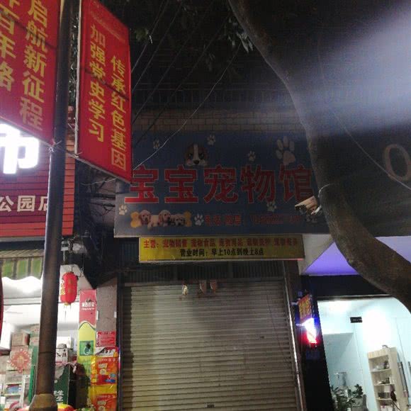 宝宝宠物馆:玉林市博白县