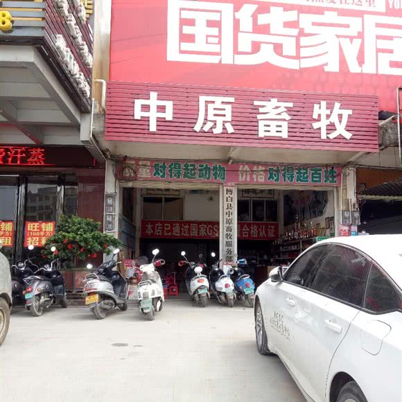 中原地区畜牧:玉林市博白县