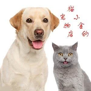 猫小金的宠物店:沈阳市大东区黎明广场附近