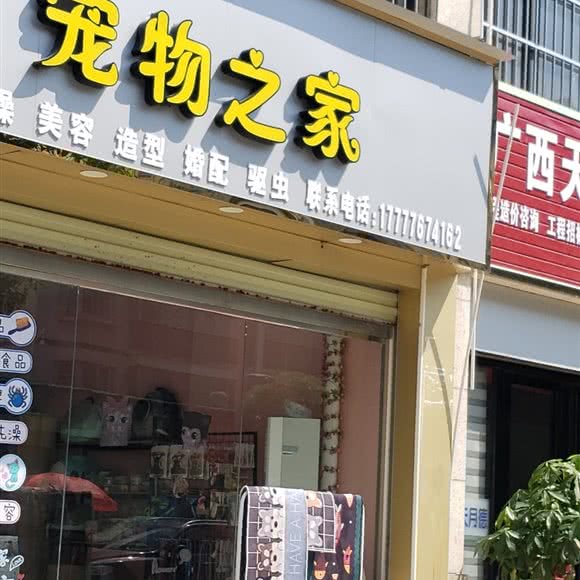 宠物之家:百色市右江区