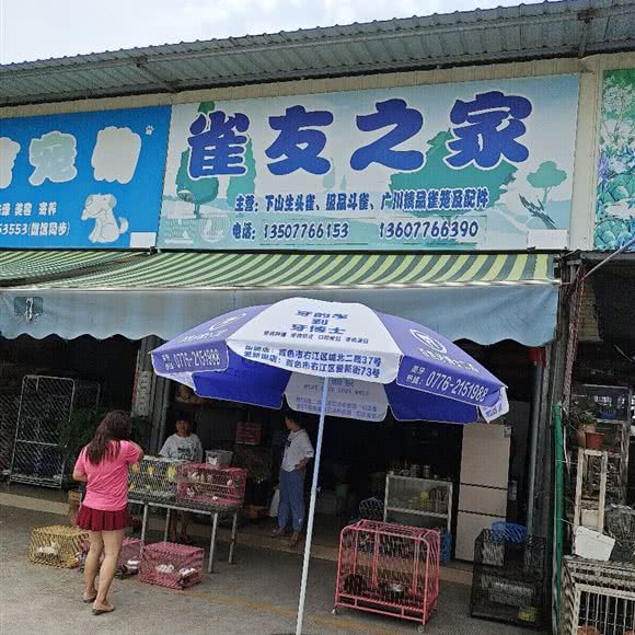 雀友之家:百色市右江区