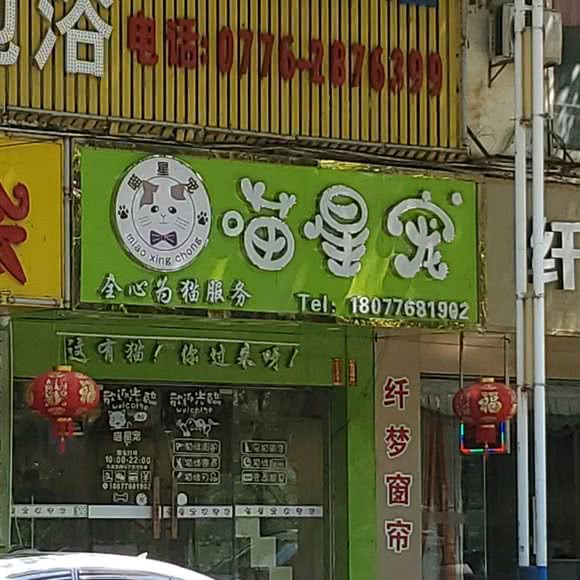 喵星宠:百色市右江区