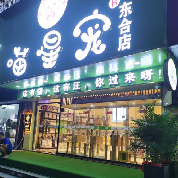 喵星宠:百色市右江区