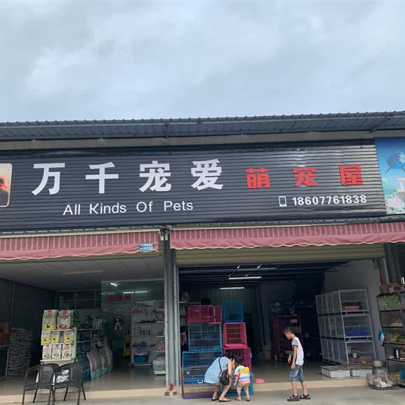 万千宠爱萌宠屋:百色市右江区