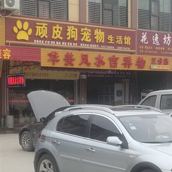 顽皮狗宠物生活馆:百色市右江区