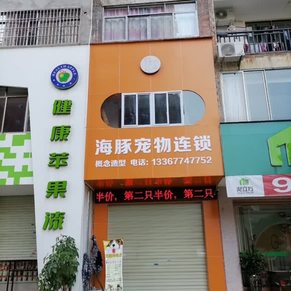 海豚宠物连锁:贺州市八步区