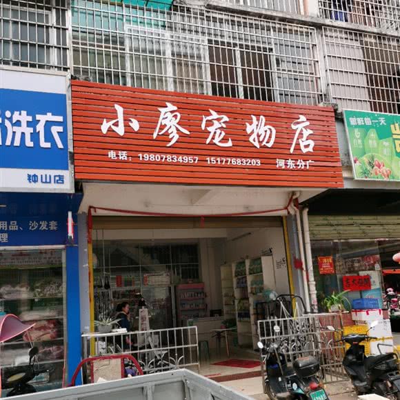 小廖宠物店(河东分店):贺州市钟山县