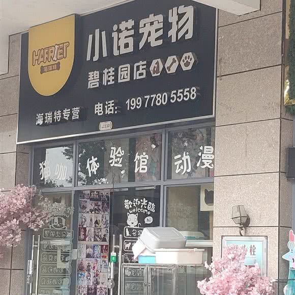 海瑞特·小诺宠物猫咪体验馆(碧桂园店):河池市金城江区