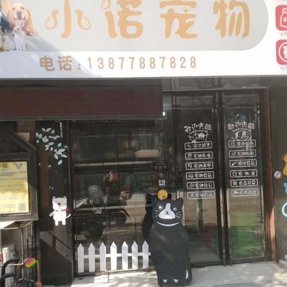 小诺宠物(九龙店):河池市金城江区