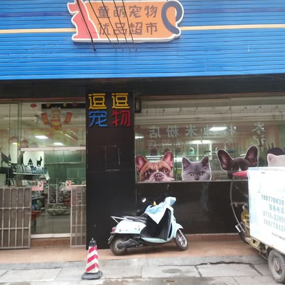 童萌宠物优品超市:河池市金城江区