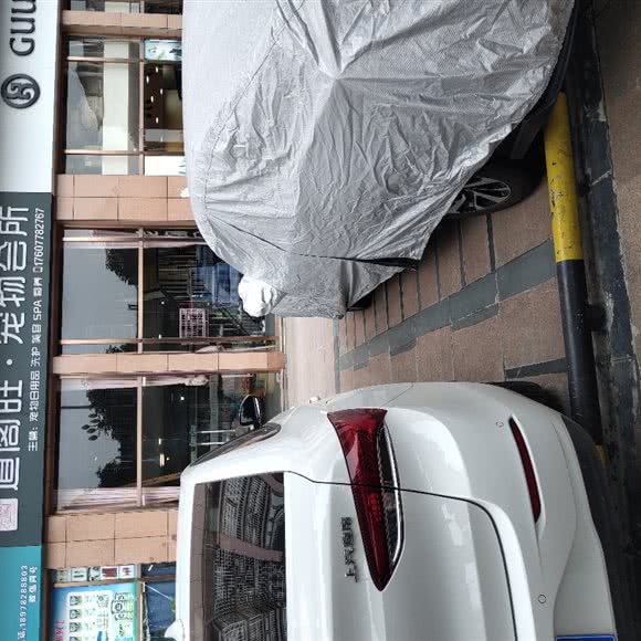 道阁旺.宠物会所:河池市宜州区