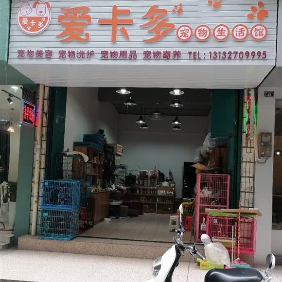 爱卡多宠物美容馆:河池市宜州区
